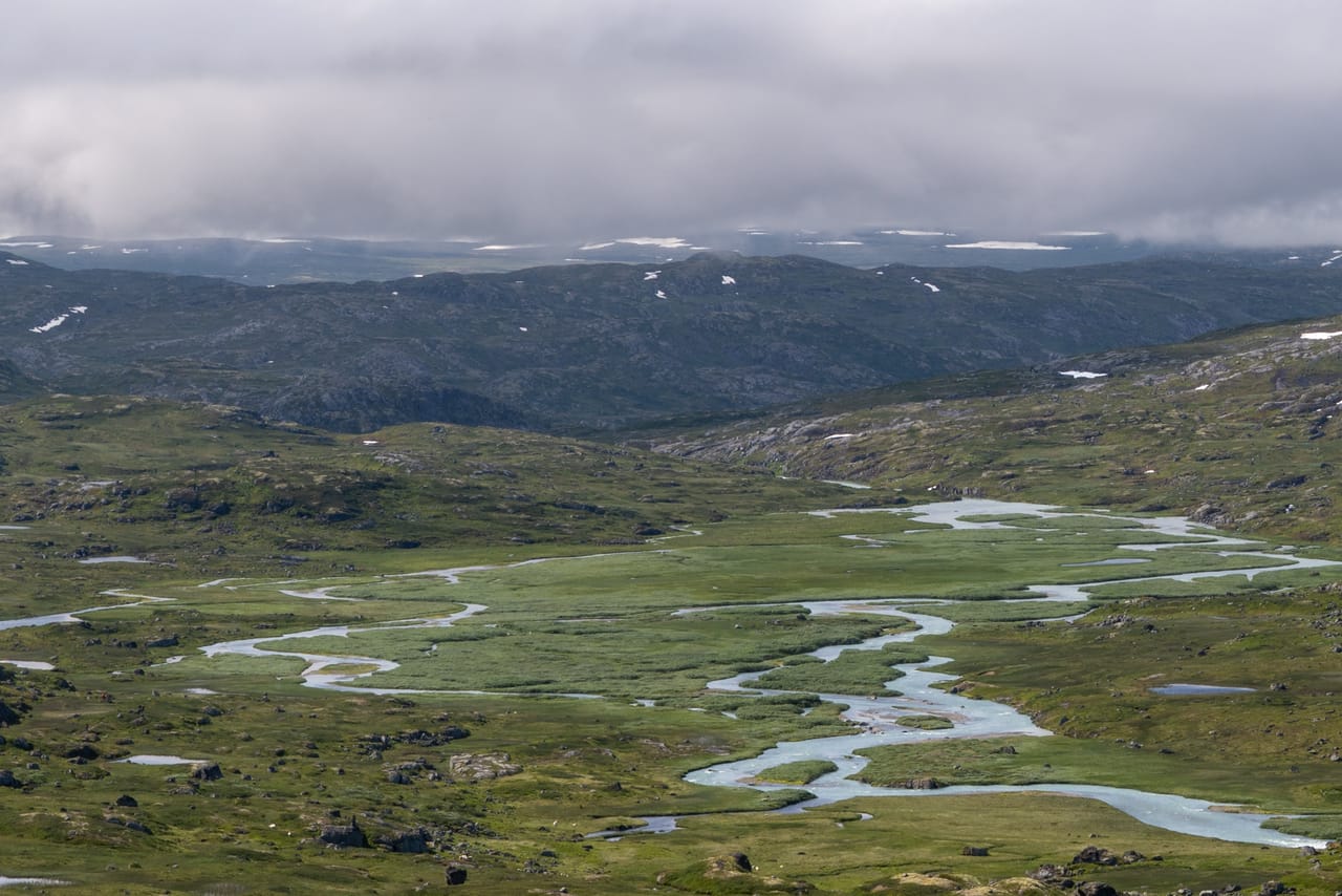 Utsikt over en elv som slynger seg gjennom grønne våtmarker på vidda, med skydekket fjell i bakgrunnen.