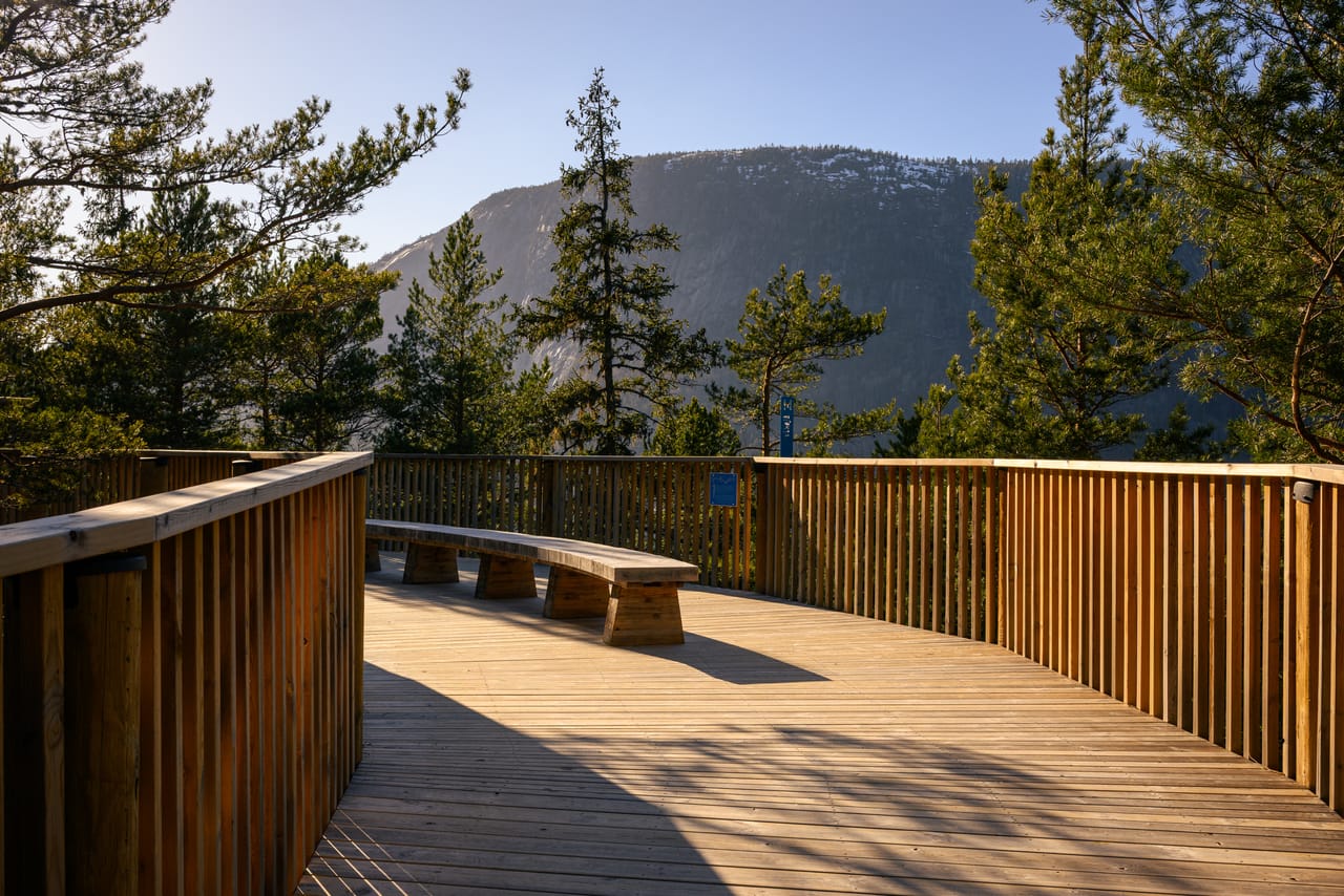Hvileplass med sittebenk på Tretoppvegen, med utsikt mot fjell gjennom furutrærne.